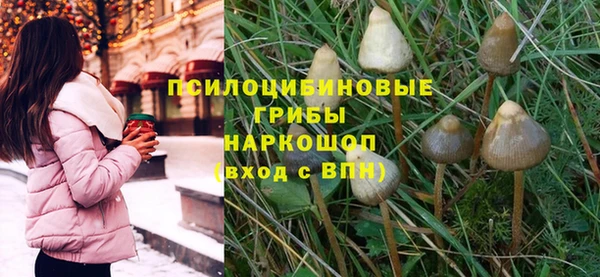 эйфоретик Алексин