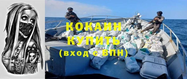 твердый Алзамай