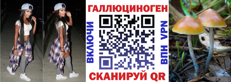 МЕГА как войти  Далматово  Псилоцибиновые грибы MAGIC MUSHROOMS 